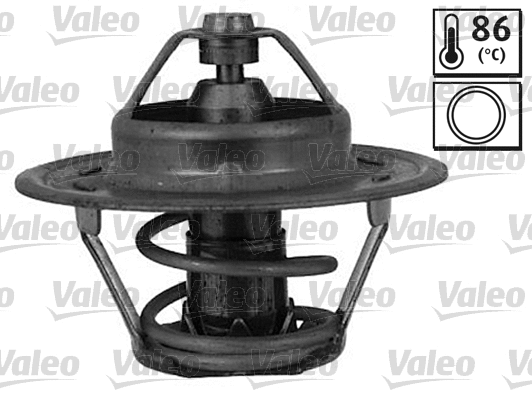 Thermostat, coolant (819915)