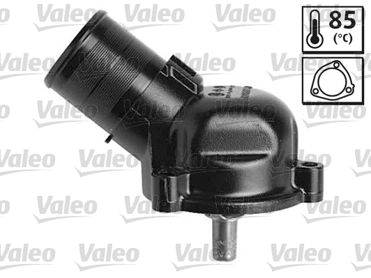 Thermostat, coolant (819954)