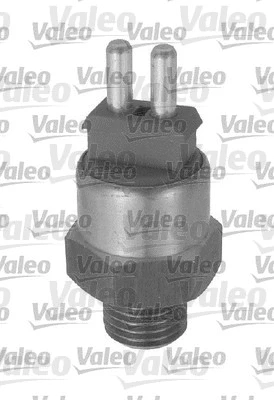 Temperature Switch, radiator fan (820207)