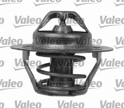 Thermostat, coolant (820905)