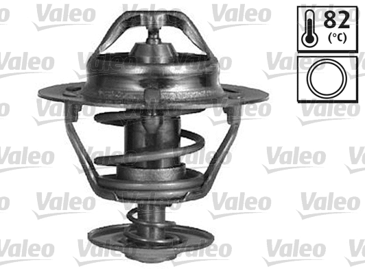 Thermostat, coolant (820773)