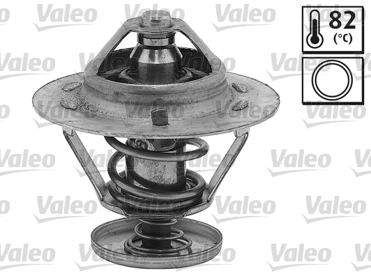 Thermostat, coolant (820496)
