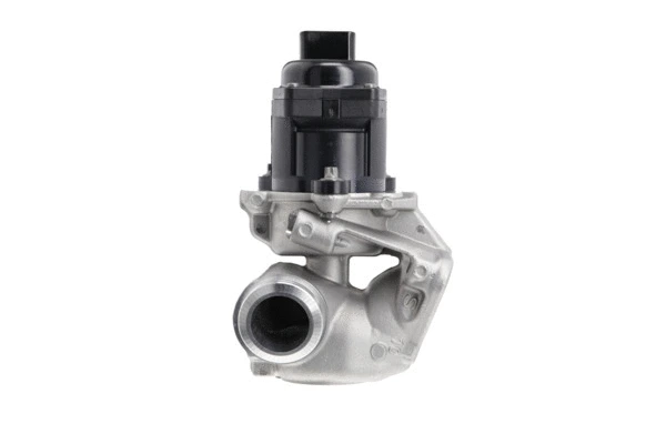 EGR Valve (700474)
