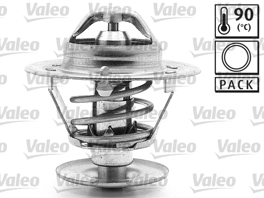 Thermostat, coolant (820040)