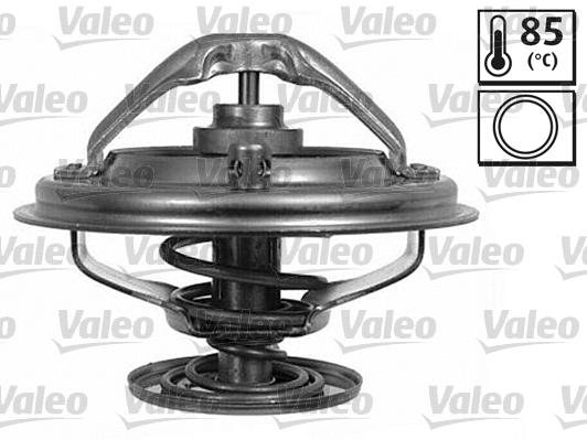 Thermostat, coolant (820423)