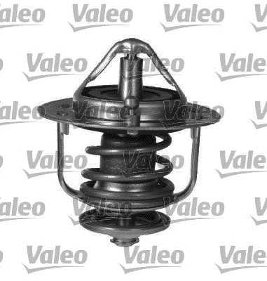Thermostat, coolant (820944)