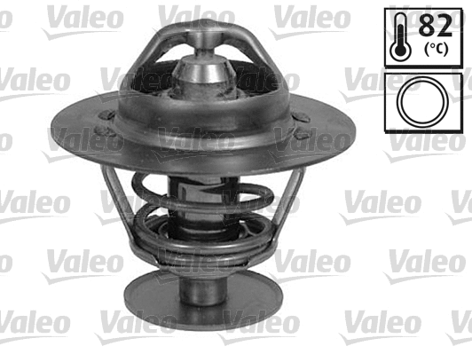 Thermostat, coolant (820069)