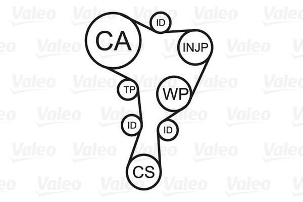 Water Pump & Timing Belt Kit