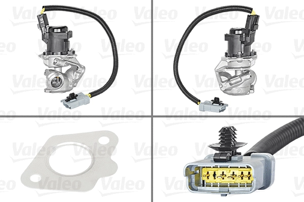 EGR Valve