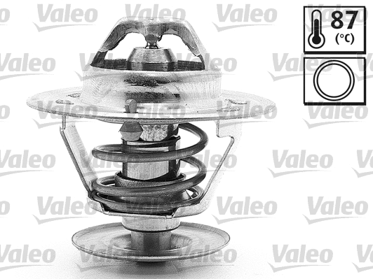 Thermostat, coolant (819925)