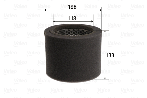 Air Filter (585754)
