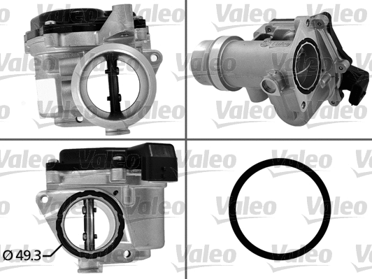 Throttle Body (700450)
