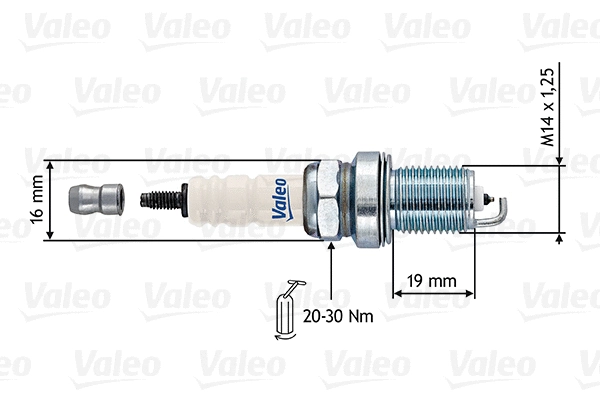 Spark Plug (246898)