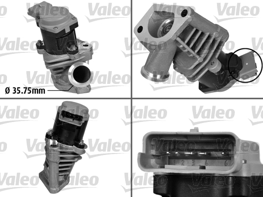 EGR Valve (700408)
