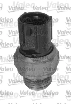 Temperature Switch, radiator fan (820329)