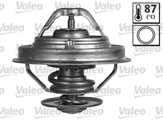 Thermostat, coolant (820415)