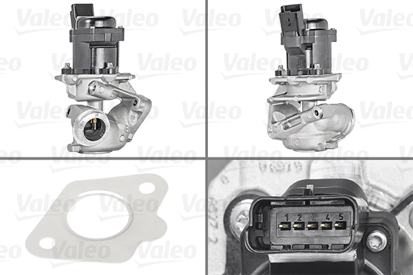 EGR Valve
