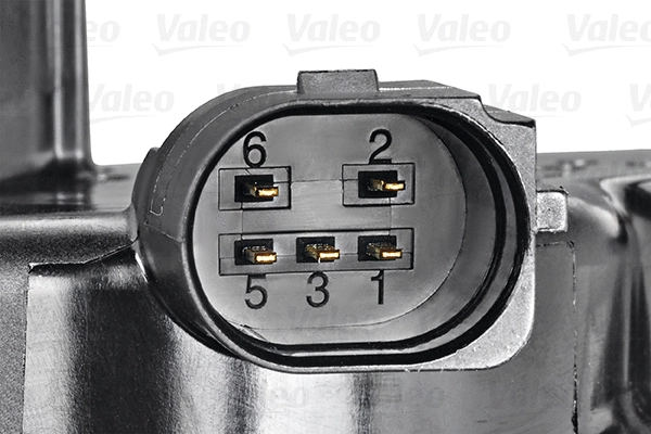 EGR Valve