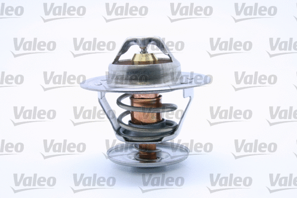 Thermostat, coolant (820923)