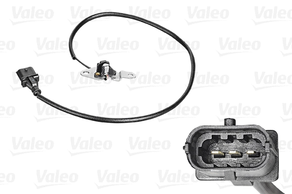Sensor, camshaft position (253812)