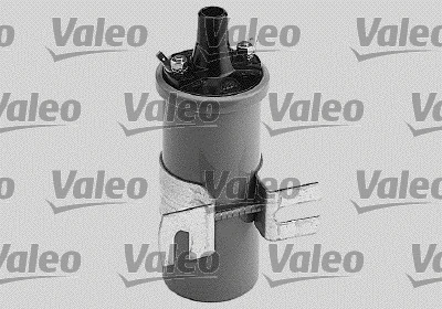 Ignition Coil (245010)