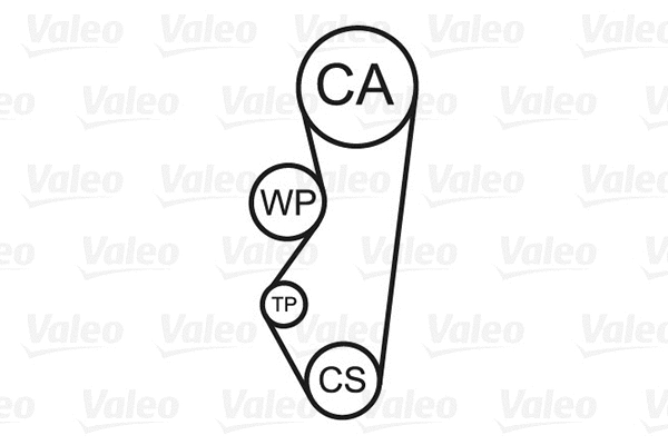 Water Pump & Timing Belt Kit