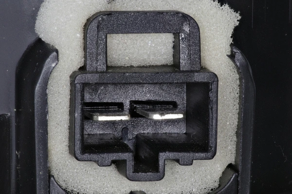 Interior Blower