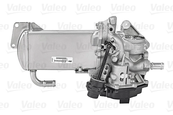 EGR Module