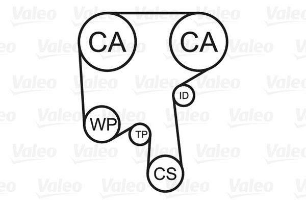 Water Pump & Timing Belt Kit