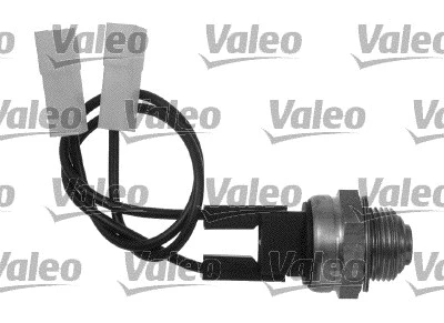 Temperature Switch, radiator fan (819763)