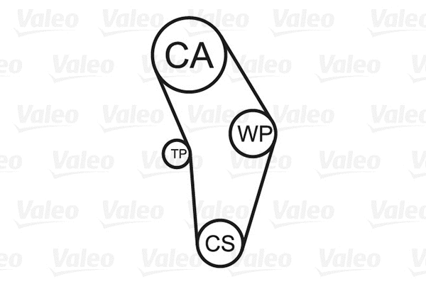 Water Pump & Timing Belt Kit (614538)