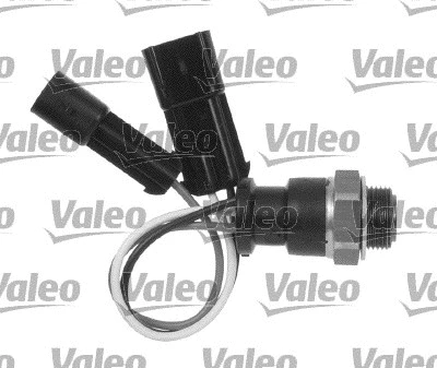 Temperature Switch, radiator fan (820315)