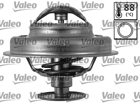 Thermostat, coolant (819898)