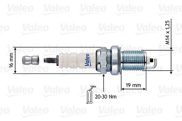 Spark Plug (246904)