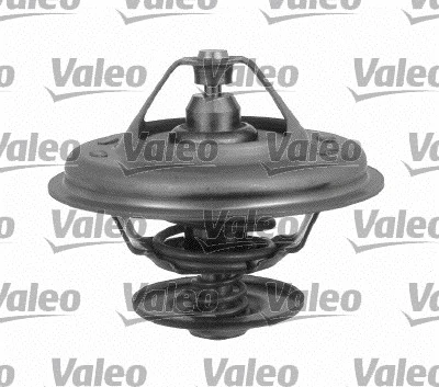 Thermostat, coolant (819901)