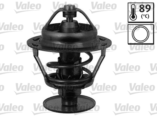 Thermostat, coolant (819897)