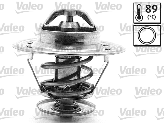 Thermostat, coolant (819889)