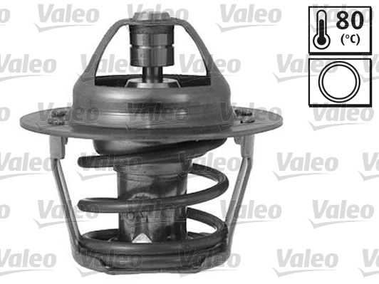 Thermostat, coolant (819842)