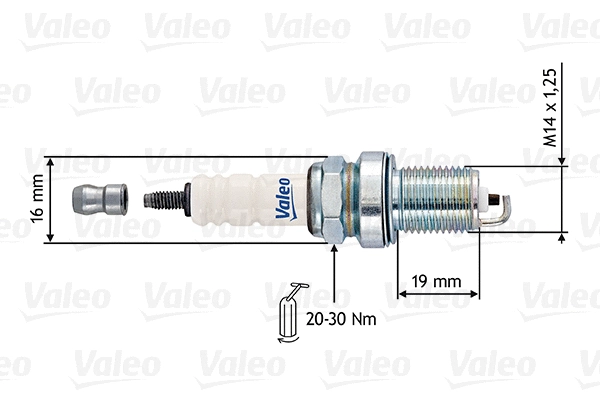 Spark Plug (246895)