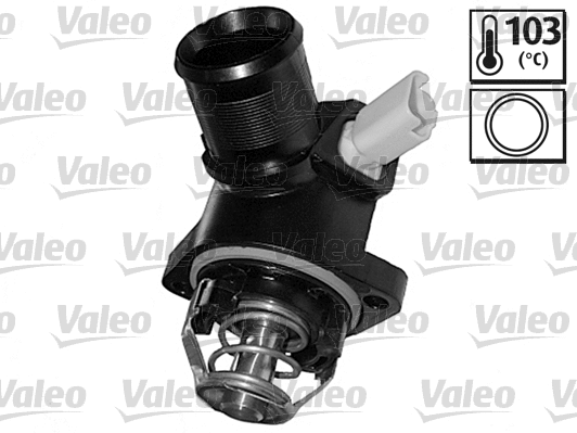 Thermostat, coolant (820977)