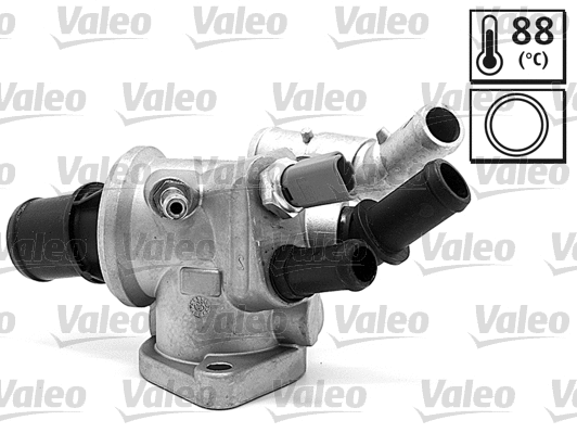 Thermostat, coolant (820577)