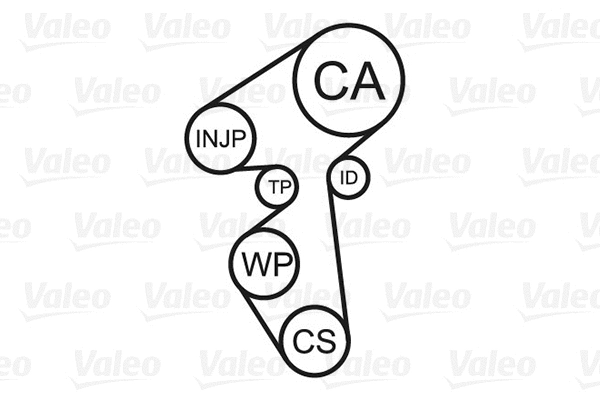 Water Pump & Timing Belt Kit