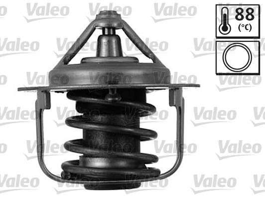 Thermostat, coolant (820544)