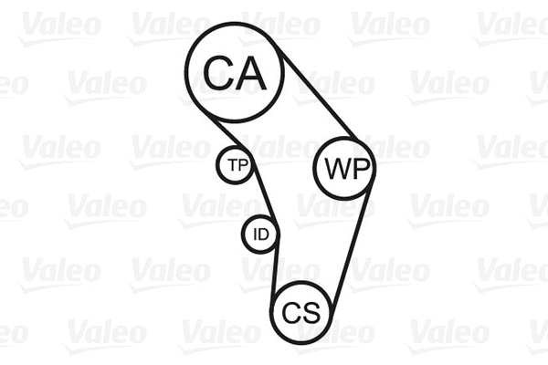 Water Pump & Timing Belt Kit
