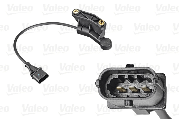 Sensor, camshaft position (253811)