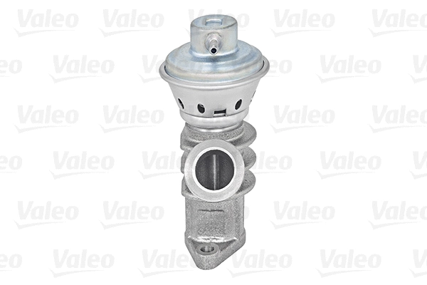 EGR Valve (700405)