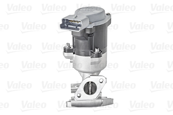 EGR Valve (700411)