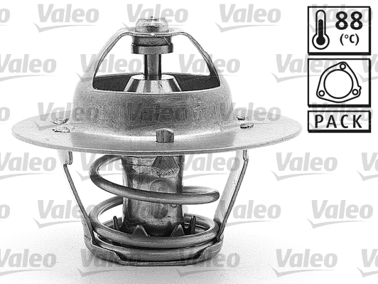 Thermostat, coolant (819967)