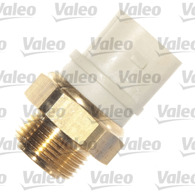 Temperature Switch, radiator fan (820224)