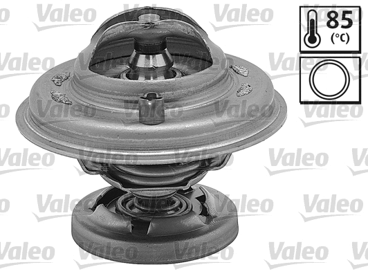 Thermostat, coolant (819970)